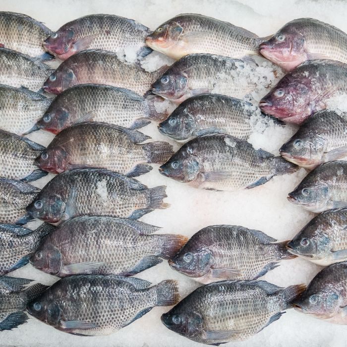 Fish and seafood products