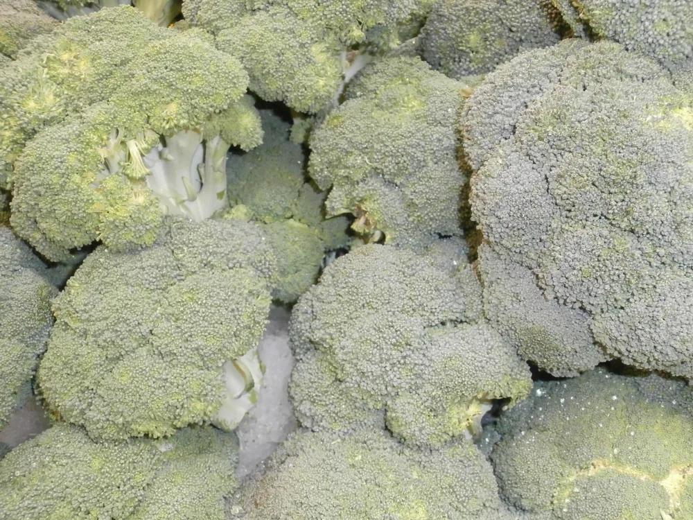 Frozen Broccoli